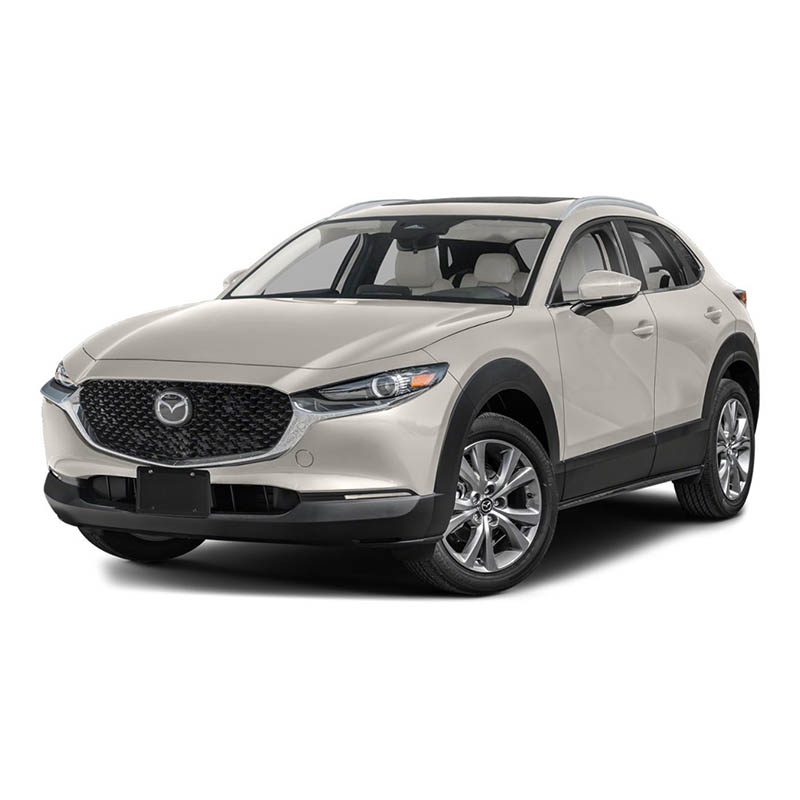 Thảm lót sàn ô tô Mazda CX30 (2021-2024)